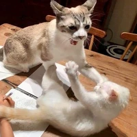 đám người tham gia phó bản