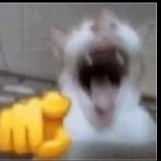 T/G ??(thèm H+,truyện ngc nặng)