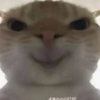 Đ.Vượng🤯🖕[Cốt Tác Giả]