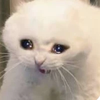 Q.Như🖕🌺[Chị Tác Giả]