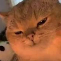 N.Khang🧞✨[Lớn]