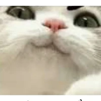 N.Khang😜🤔[Nhỏ]