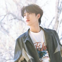 Nghiêm Hạo Tường