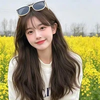 Nguyễn Ngọc Ánh ( em của Hạ )