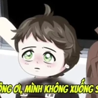 Hạo Hạo
