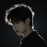 Hoàng Vũ Phong(A2L)