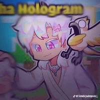 Hiha holorgam