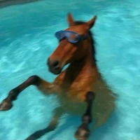 Tiểu Mã Phiêu Phiêuu