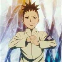 Nara shikadai