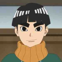 Metal lee