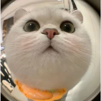 Con T/G khổ nhất thế giới