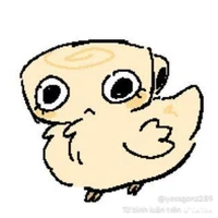 shelly chicken ( pet của 007n7 shed)