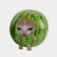 hệ thống vô tri