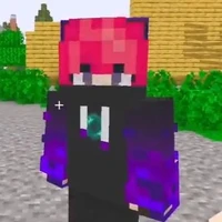 #_Hiha Enderman.