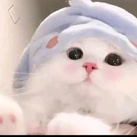 Phương// con tg lồn //,