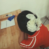 Ngọc An ( lớp trưởng)