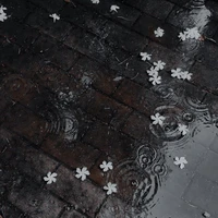 sáng nắng chiều mưa _ T/G