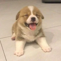 Mốc