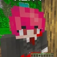 h1h4