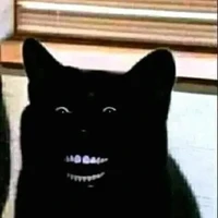 cân mọi thể loại vai