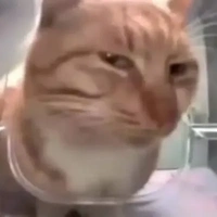 bobette[cj gái chuppy]