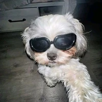 nhà xuất bản Mộng Nhím