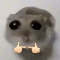 tác giả bí chuyện