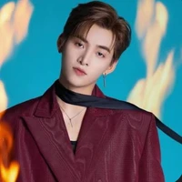 Huỳnh Hoàng Hùng (gemmini hùng huỳnh)