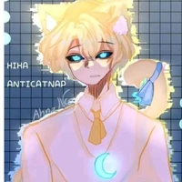 hiha unti catnap