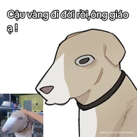 Cậu Dàng