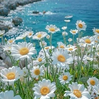 allbot // trừ ai thì từ //