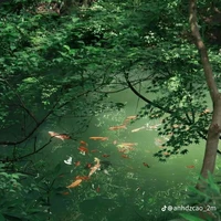 alltop /trừ ai thì trừ/