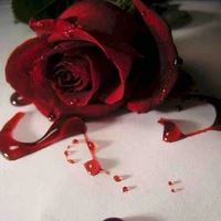 Bl03d<<nhím ko gaI>>(cô tin học)