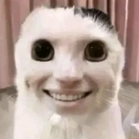 NV phụ