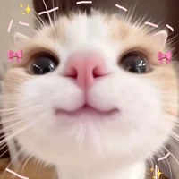 Tác giả tẻn tẻn