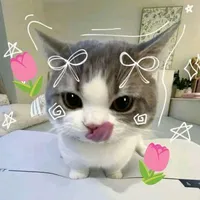 Tác giả cute cành me phô mai que