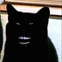 Bố mày cân mọi vai 