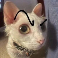 con tg thik tạo tác phẩm nhưng luời làm