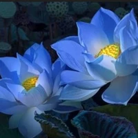 thời sự