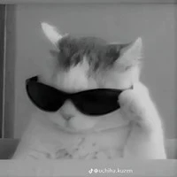 all top|trừ ai thì trừ