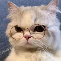 all trừ ai thì trừ