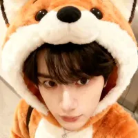 Đinh trình hâm