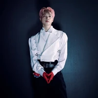 Nguyễn Thái Sơn [ tré son]