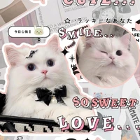 mấy nhỏ ở nội