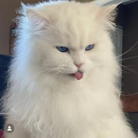 Nguyễn Khải  - Mao