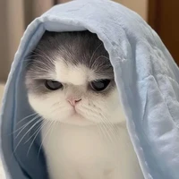 t/g khùm đin