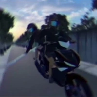 Exciter(trộm chó)