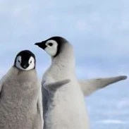 ?????