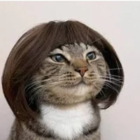 Hệ thống yamatee