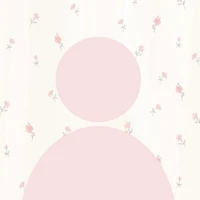 Nhân Vật Bí Ẩn Nữ